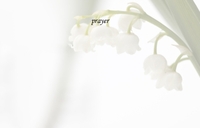SPW-C02