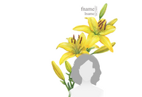 SPC-ECO-FLEUR-04 Front