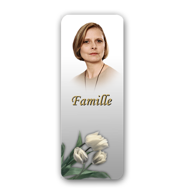 Étiquettes famille (XSFAM) Étiquettes famille (XSFAM)