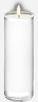 SPC-533
